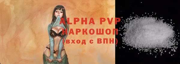 соль ск Белокуриха
