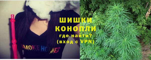 соль ск Белокуриха