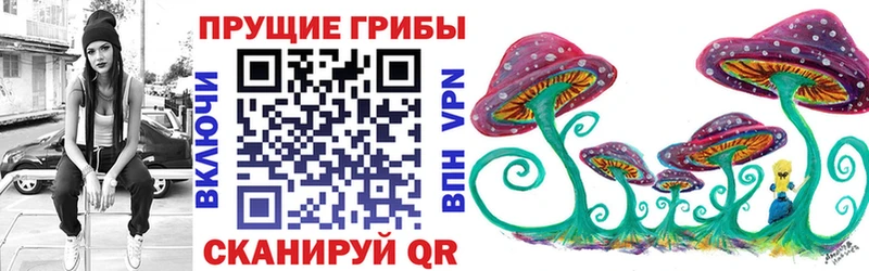 Псилоцибиновые грибы мицелий  где купить   Волчанск 
